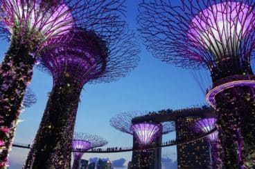 Singapour déclare l’arrêt du staking et du prêt de crypto