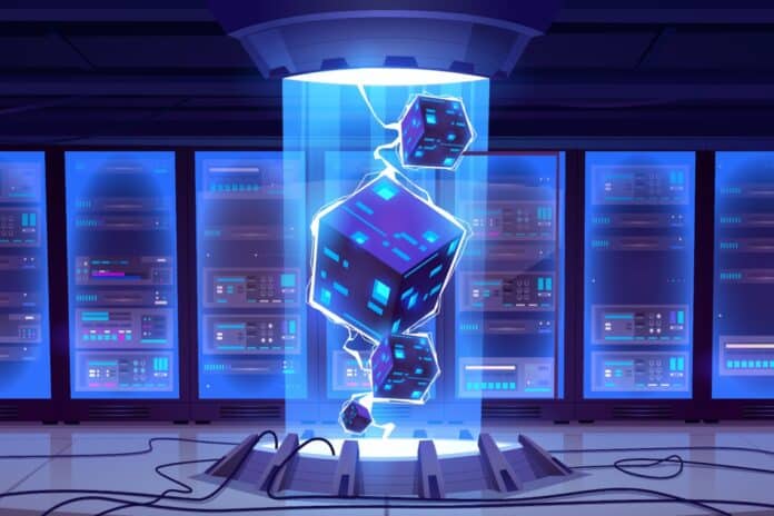 d.o.g.e. voto blockchain